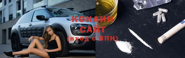 ПСИЛОЦИБИНОВЫЕ ГРИБЫ Арсеньев