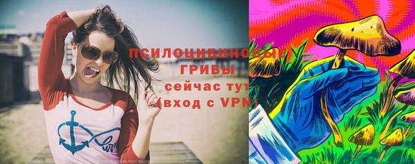 ПСИЛОЦИБИНОВЫЕ ГРИБЫ Арсеньев